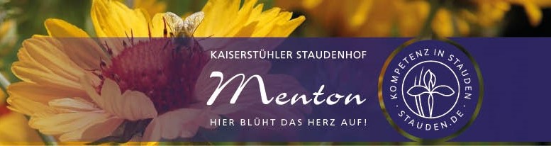 Kaiserstühler Staudenhof Menton GdbR (Staudengärtnerei)