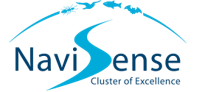 NaviSense
